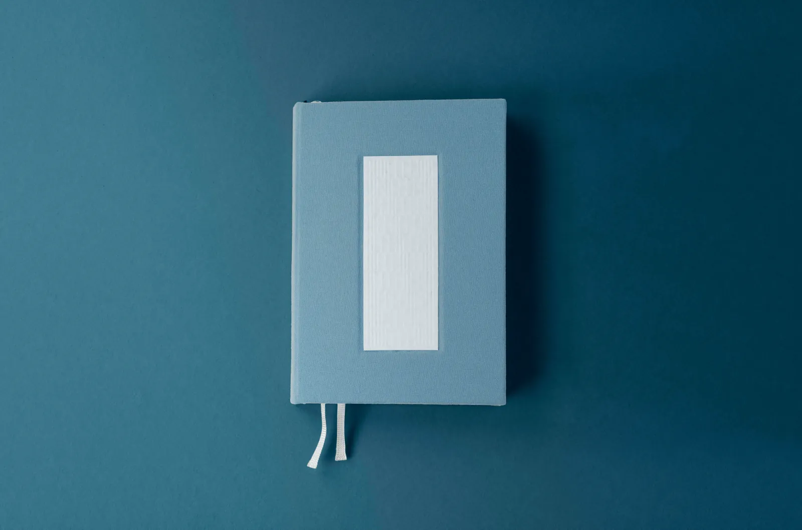 Logbook Ninety-Nine fermé, couverture bleue et étiquette blanche